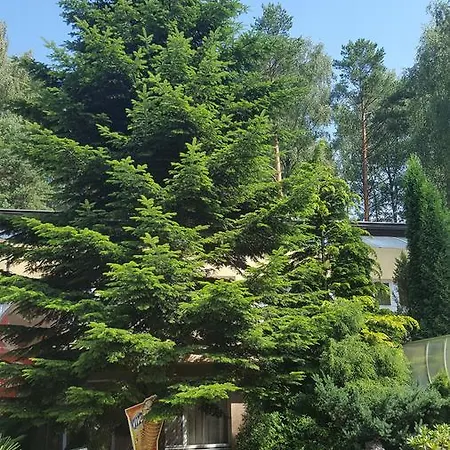 Kempings Lilaste.com Campingplads Lilaste